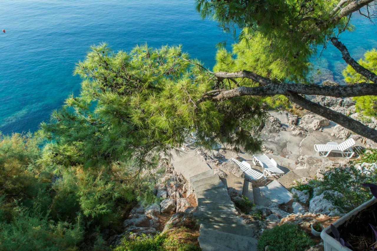 Ratak House Διαμέρισμα Prizba Εξωτερικό φωτογραφία